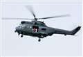 Puma has Poppy Appeal