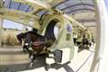 Lambourn training monorail gets green light