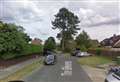 SAVED! Old pine tree gets to live after council says it is no danger