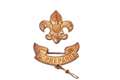 Ramsbury Beaver pack leader to represent Wiltshire for international Scout Jamboree