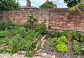 Almshouse residents celebrate ‘life-changing’ new communal garden