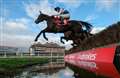 Thyme Hill edges out last year's winner Paisley Park to land Long Distance Hurdle at Newbury