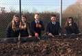 School garden project in full bloom