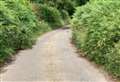 Council confirms rural road clean up