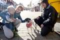 Dogmobile whizzes into Newbury town centre