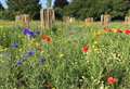 Keep Newbury rosy and join the wildflower meadow cut