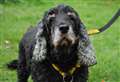 Ruby’s search for a loving retirement home