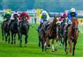 Balding still confident of Chaldean’s chances ahead of QIPCO 2000 Guineas
