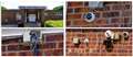 Vandals target Pamber Heath Memorial Hall
