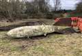 Greenham mystery object identified as naval mine clearer