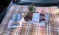 Shefford Woodlands residents treated to daily display of cuddly toys during coronavirus lockdown