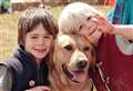 Family-friendly festival returns to support good cause