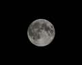 'Supermoon' is a super sight in West Berkshire 