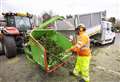 Council to establish 22 Christmas tree recycling points in January