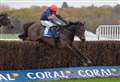 Big names amongst the contenders for Coral Gold Cup
