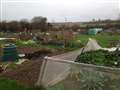 New year cheer as allotmenteers win reprieve
