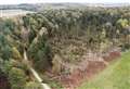 Tornado rips through woods at Blenheim Estate