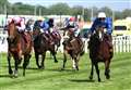 Top Rank all set for Lockinge Stakes at Newbury