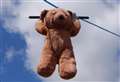 Ready, teddy, go for Teddy Bear Olympics