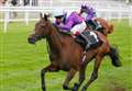 Alcohol Free lands G1 Sussex Stakes at Glorious Goodwood for Kingsclere's Balding