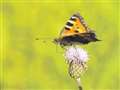 £500k for West Berkshire wildlife group
