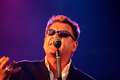Music legends Madness to play at Newbury Racecourse in September