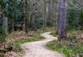Tree felling plan for The Chase