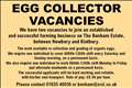 EGG COLLECTOR VACANCIES