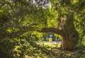 Oxfordshire World Heritage site involved in research programme