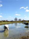 West Berkshire Council announces Greenham Common and Snelsmore car parks to reopen as part of coronavirus phased recovery plan