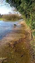 River levels up after last night's heavy rain and homes still without power