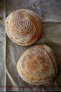 Use your loaf - It's time to celebrate real bread