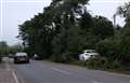 Car crashes into tree in Newbury