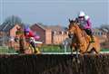 Nicholls 'fairly confident' Bravemansgame would secure Newbury win