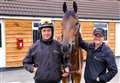 Oliver's ready for more success after stable visits