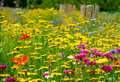 What's on: Sunday