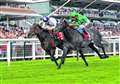 Newmarket raider targets Hungerford Stakes