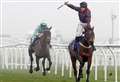 Snowden considers plans for Coral Gold Cup hero Datsalrightgino