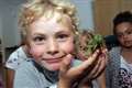 Get up close and personal with big bugs