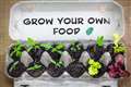 National Gardening Week is a good time to start growing your own