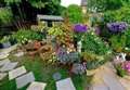Get gardening for Hungerford In Bloom 2022