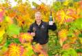 Heavenly host of wines