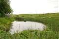 Lambourn farm's 'valuable work for species in real trouble'