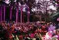 Mesmerising music and the magic of mushrooms, Equinox festival captures the spirit of Wasing