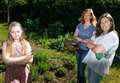Vandals destroy vital bee havens