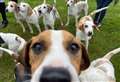 Newbury Show: What’s been going on in the Countryside Area?