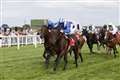 Convey’s connections hoping for bold Hungerford show on Betfred Ladies Day at Newbury this Saturday
