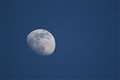 Marvellous moon shots from West Berkshire galaxy gazers, including 11-year-old from Bradfield Southend