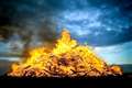 Greenham woodland fire cause under investigation