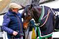 Seven Barrows trainer Nicky Henderson is ready for the Cheltenham Festival